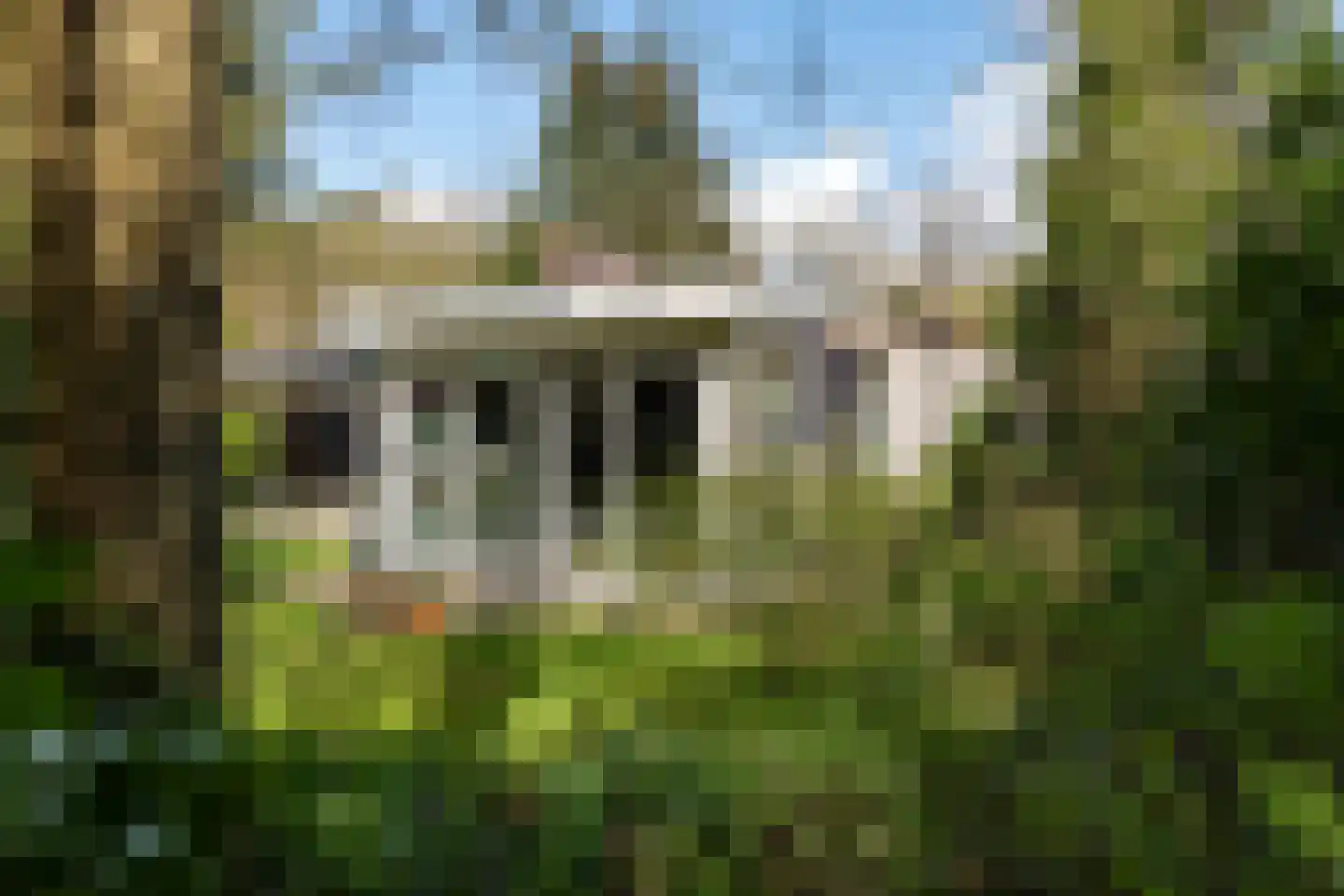 Eexterkoele 29 Eext thumbnail 32
