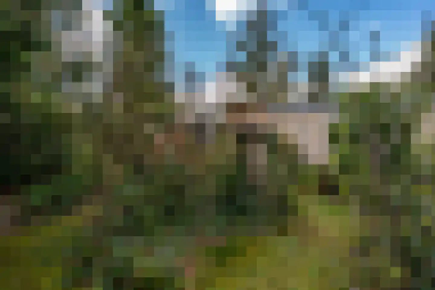 Eexterkoele 29 Eext thumbnail 35