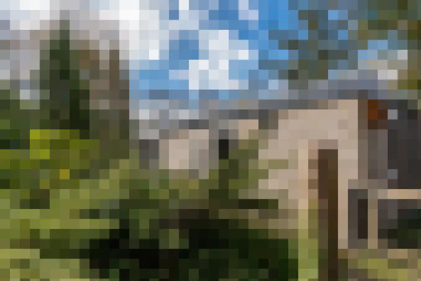 Eexterkoele 29 Eext thumbnail 36
