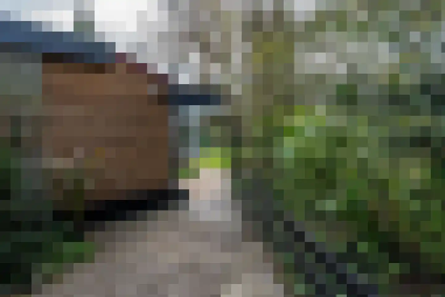 Eexterkoele 29 Eext thumbnail 38