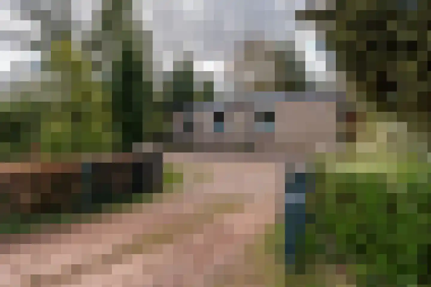Eexterkoele 29 Eext thumbnail 39