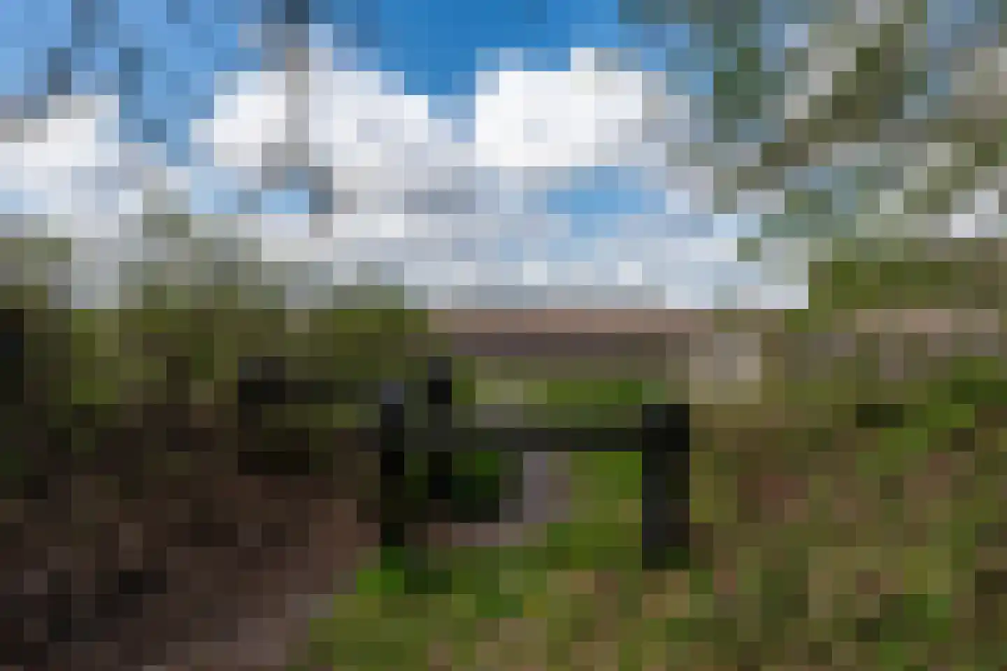 Eexterkoele 29 Eext thumbnail 41