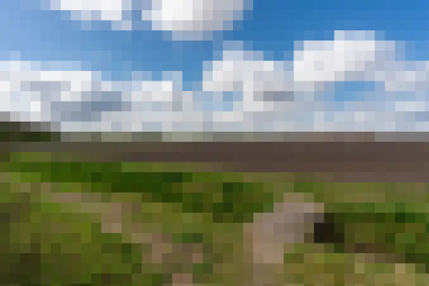 Eexterkoele 29 Eext thumbnail 42