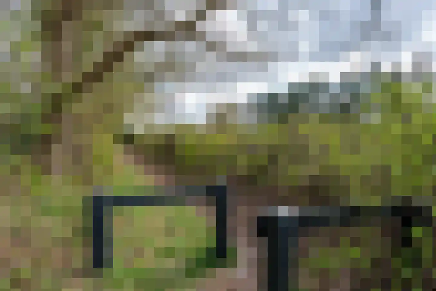 Eexterkoele 29 Eext thumbnail 43