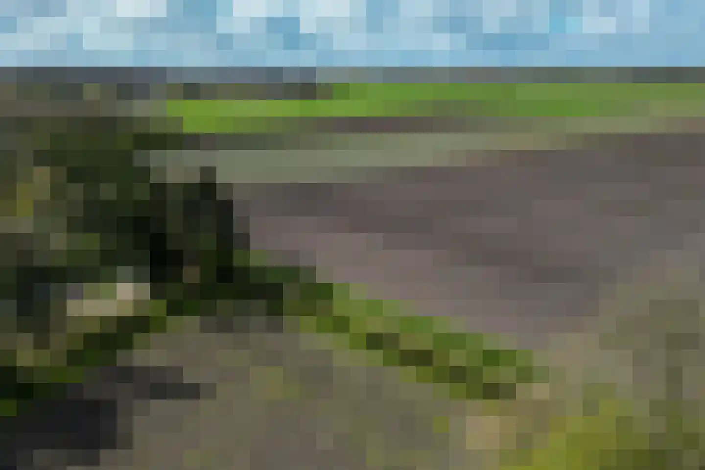 Eexterkoele 29 Eext thumbnail 44