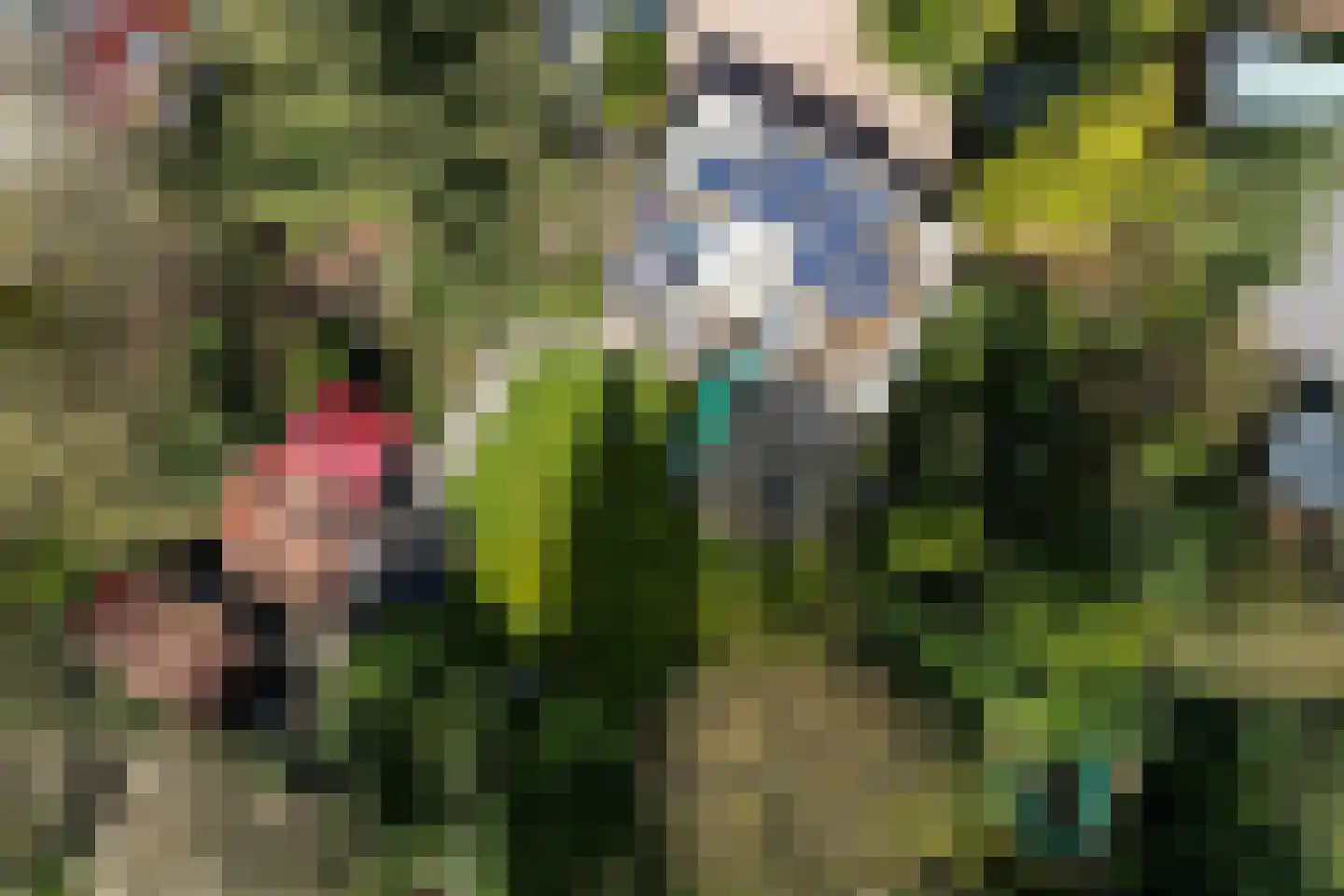Eexterkoele 29 Eext thumbnail 46