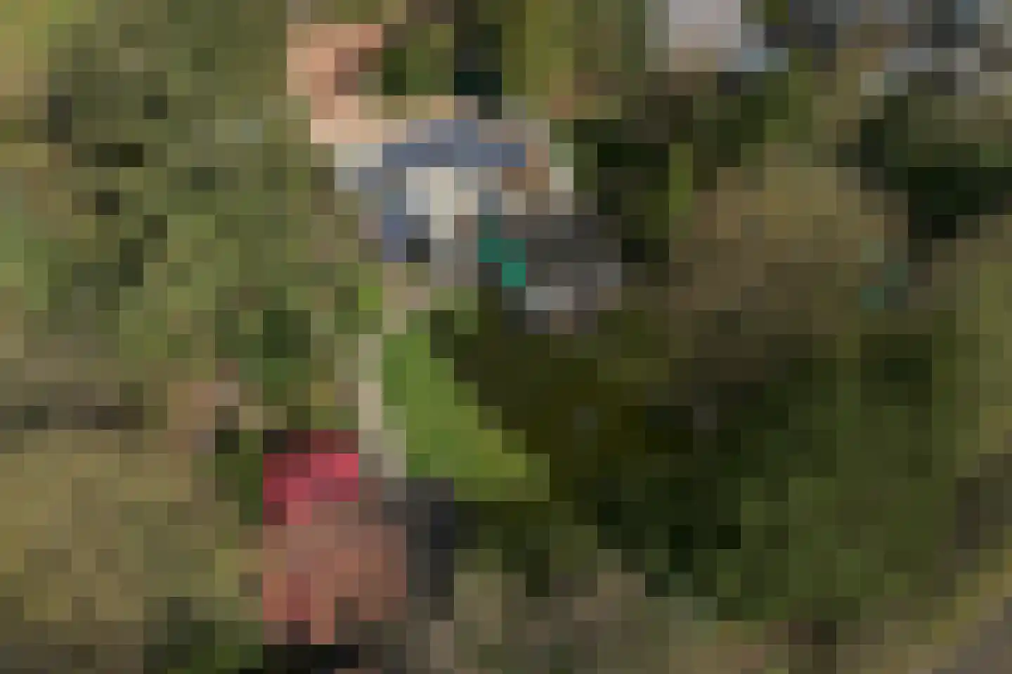 Eexterkoele 29 Eext thumbnail 47