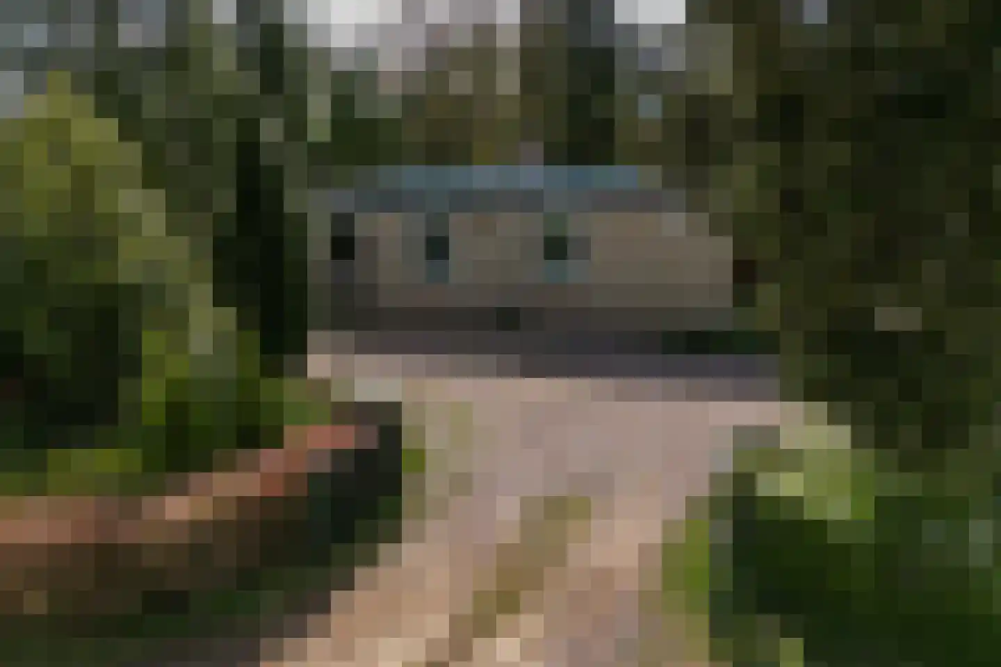 Eexterkoele 29 Eext thumbnail 49
