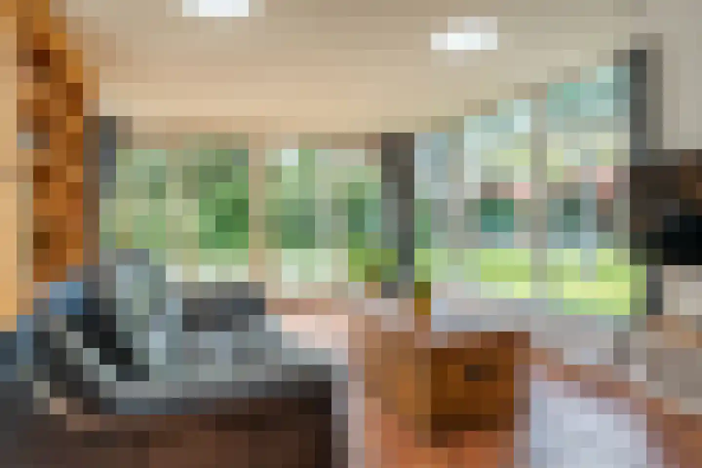Eexterkoele 29 Eext thumbnail 7