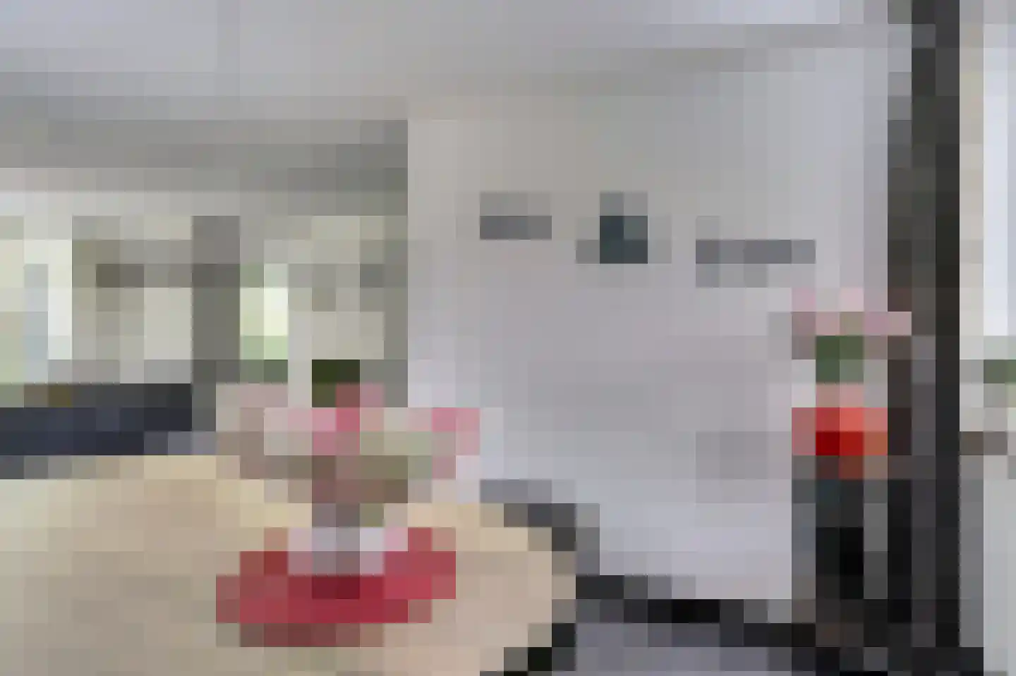 Eexterkoele 30 Eext thumbnail 11