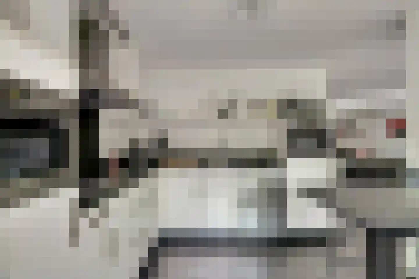 Eexterkoele 30 Eext thumbnail 14