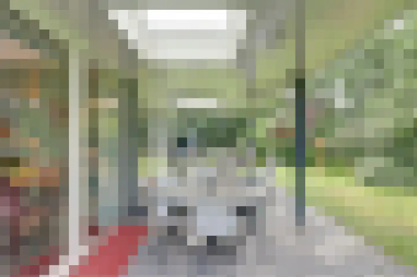 Eexterkoele 30 Eext thumbnail 17
