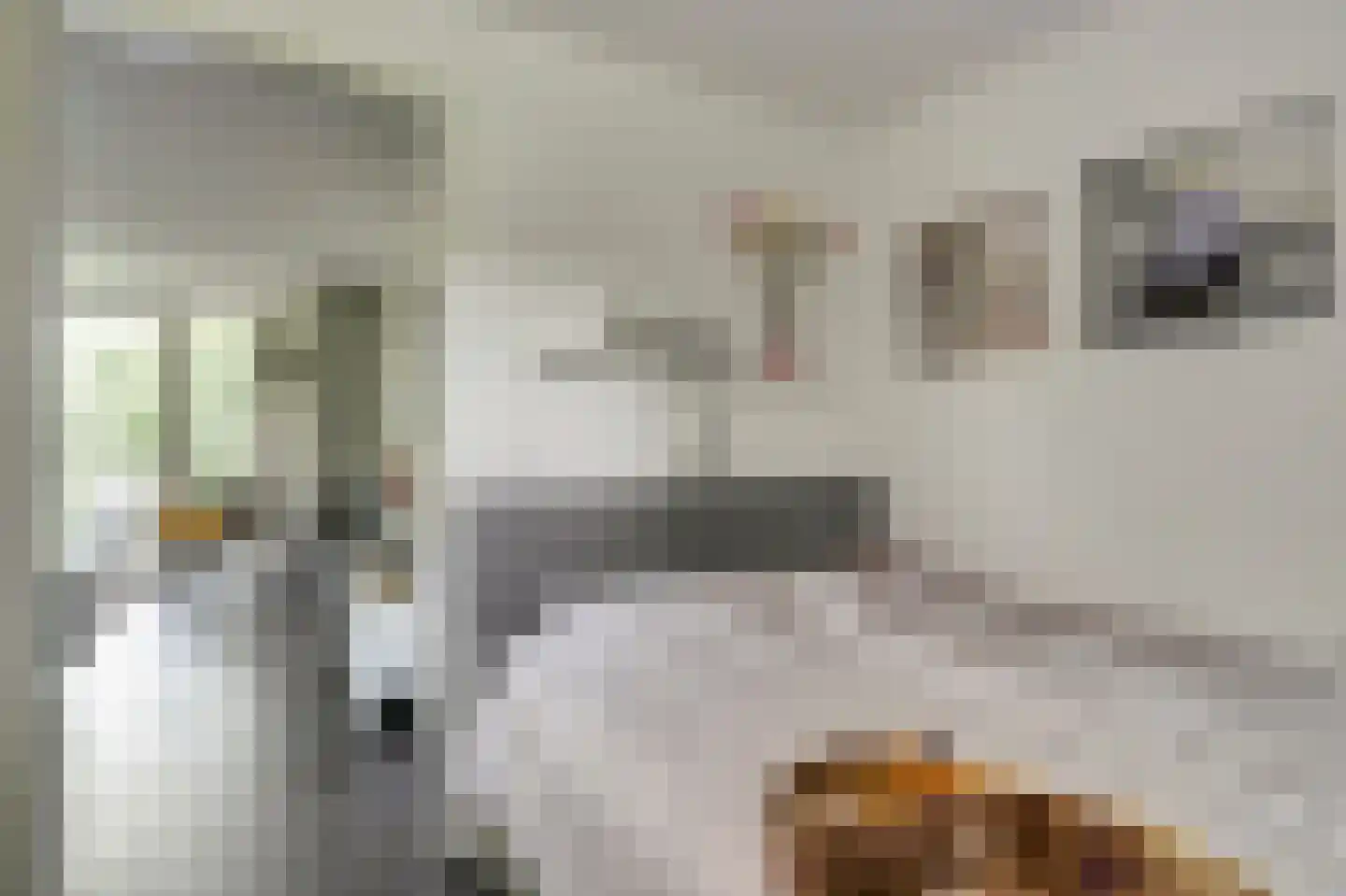 Eexterkoele 30 Eext thumbnail 22
