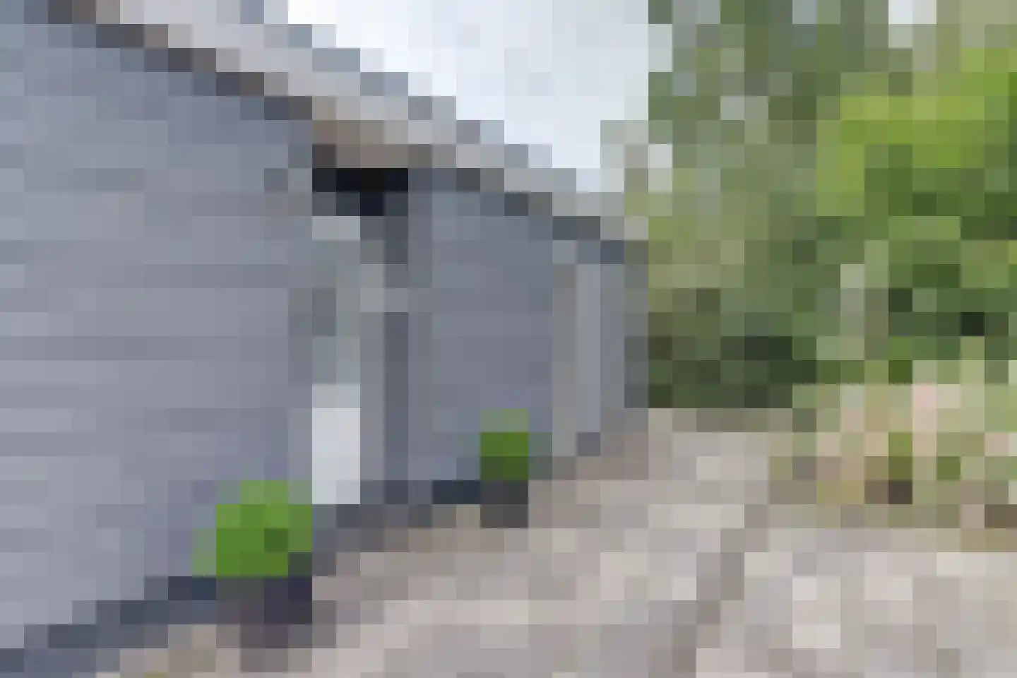 Eexterkoele 30 Eext thumbnail 27