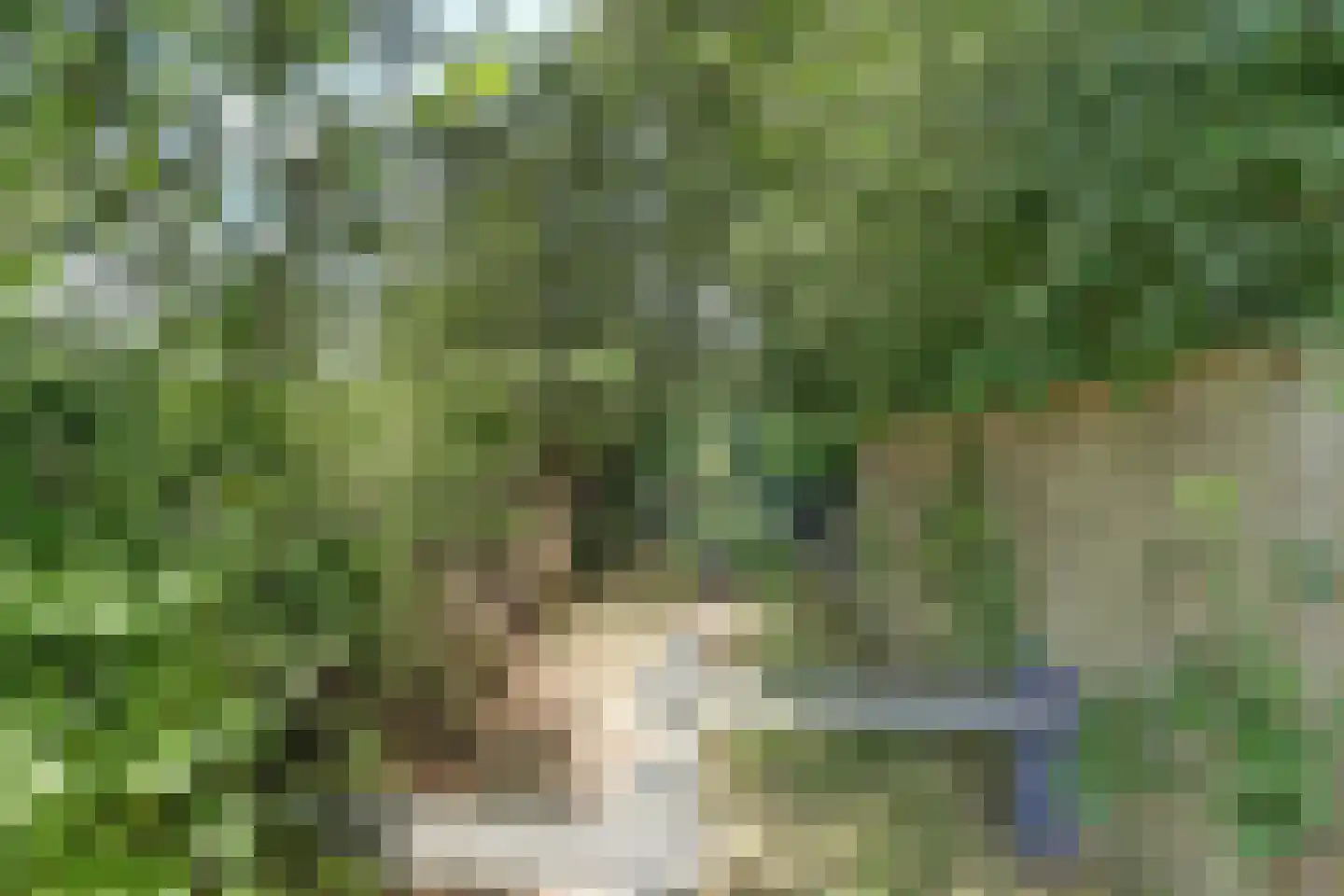 Eexterkoele 30 Eext thumbnail 34