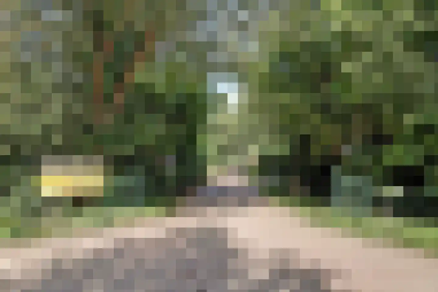 Eexterkoele 30 Eext thumbnail 35