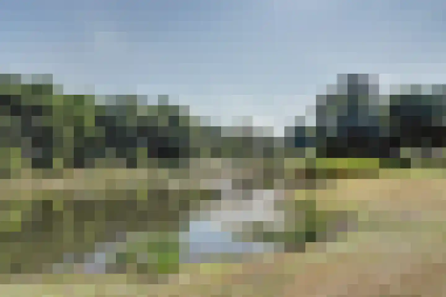 Eexterkoele 30 Eext thumbnail 36