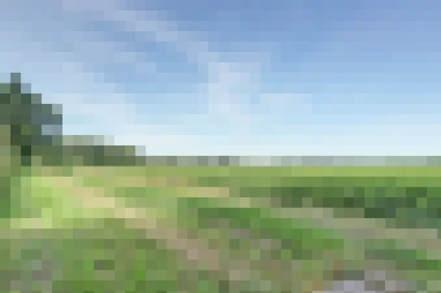 Eexterkoele 30 Eext thumbnail 37