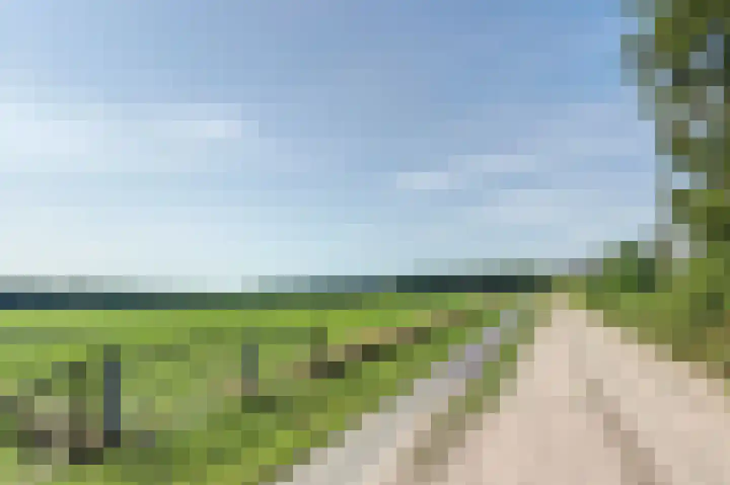 Eexterkoele 30 Eext thumbnail 38