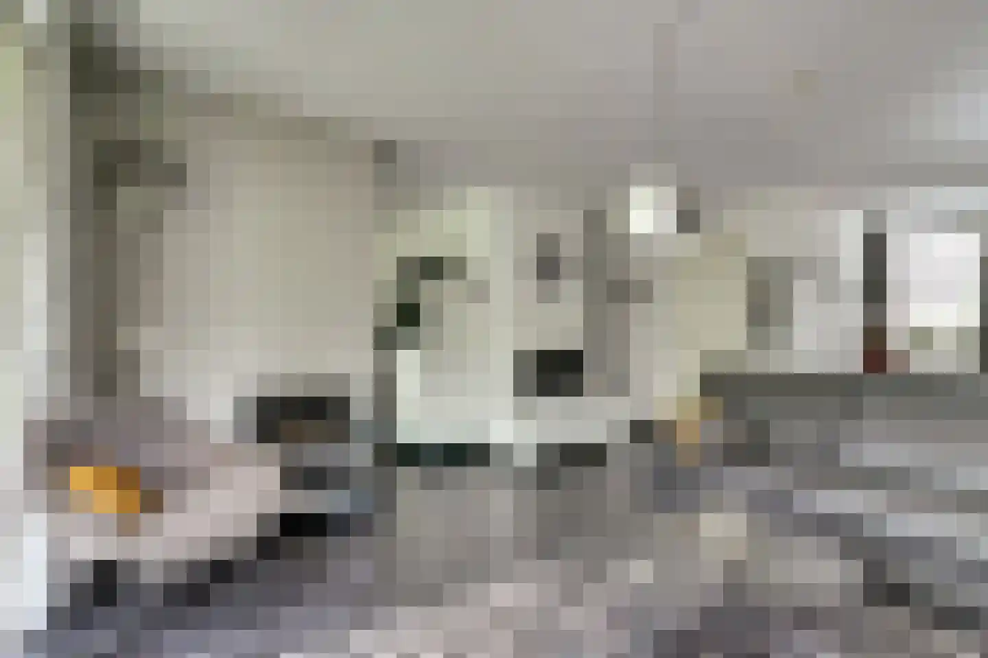 Eexterkoele 30 Eext thumbnail 6