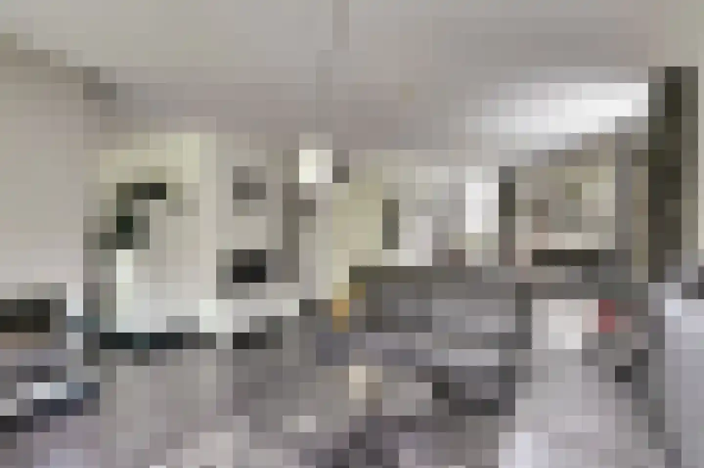 Eexterkoele 30 Eext thumbnail 7