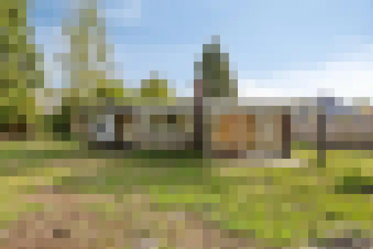 Eexterkoele 34 Eext thumbnail 10