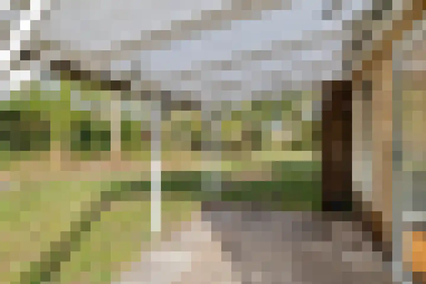 Eexterkoele 34 Eext thumbnail 13
