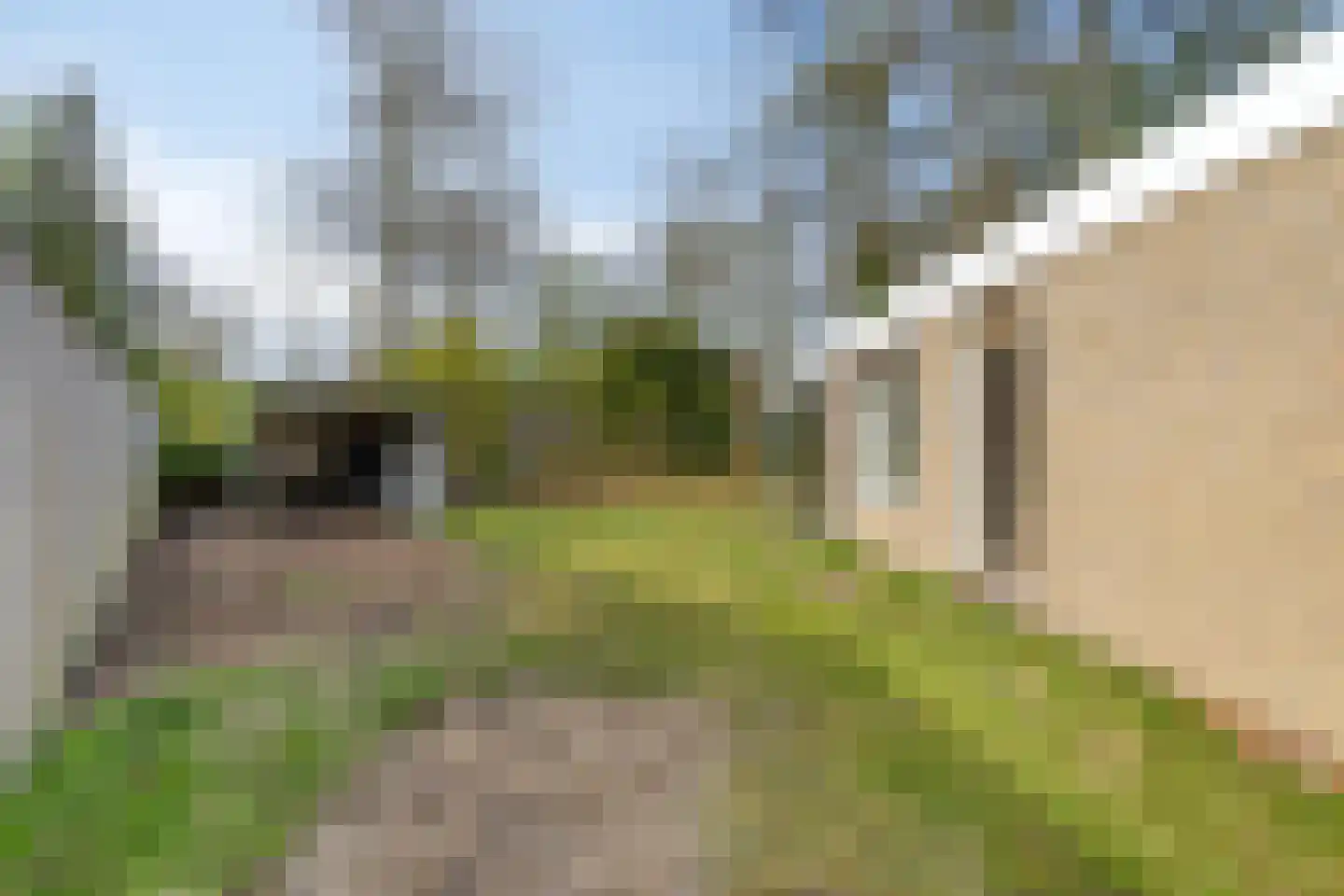 Eexterkoele 34 Eext thumbnail 16