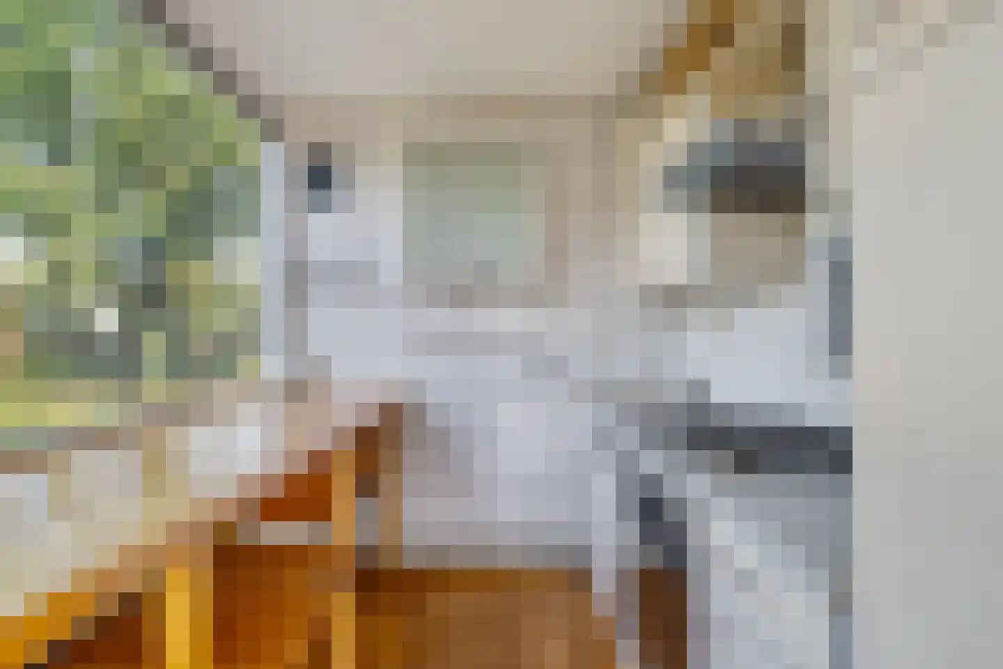 Eexterkoele 34 Eext thumbnail 26