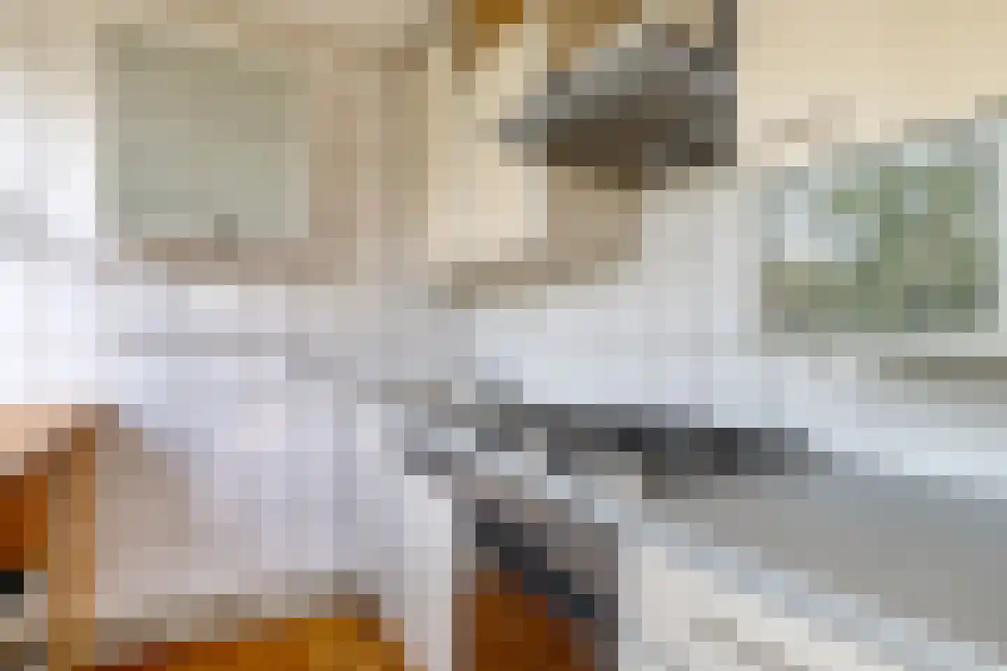 Eexterkoele 34 Eext thumbnail 28
