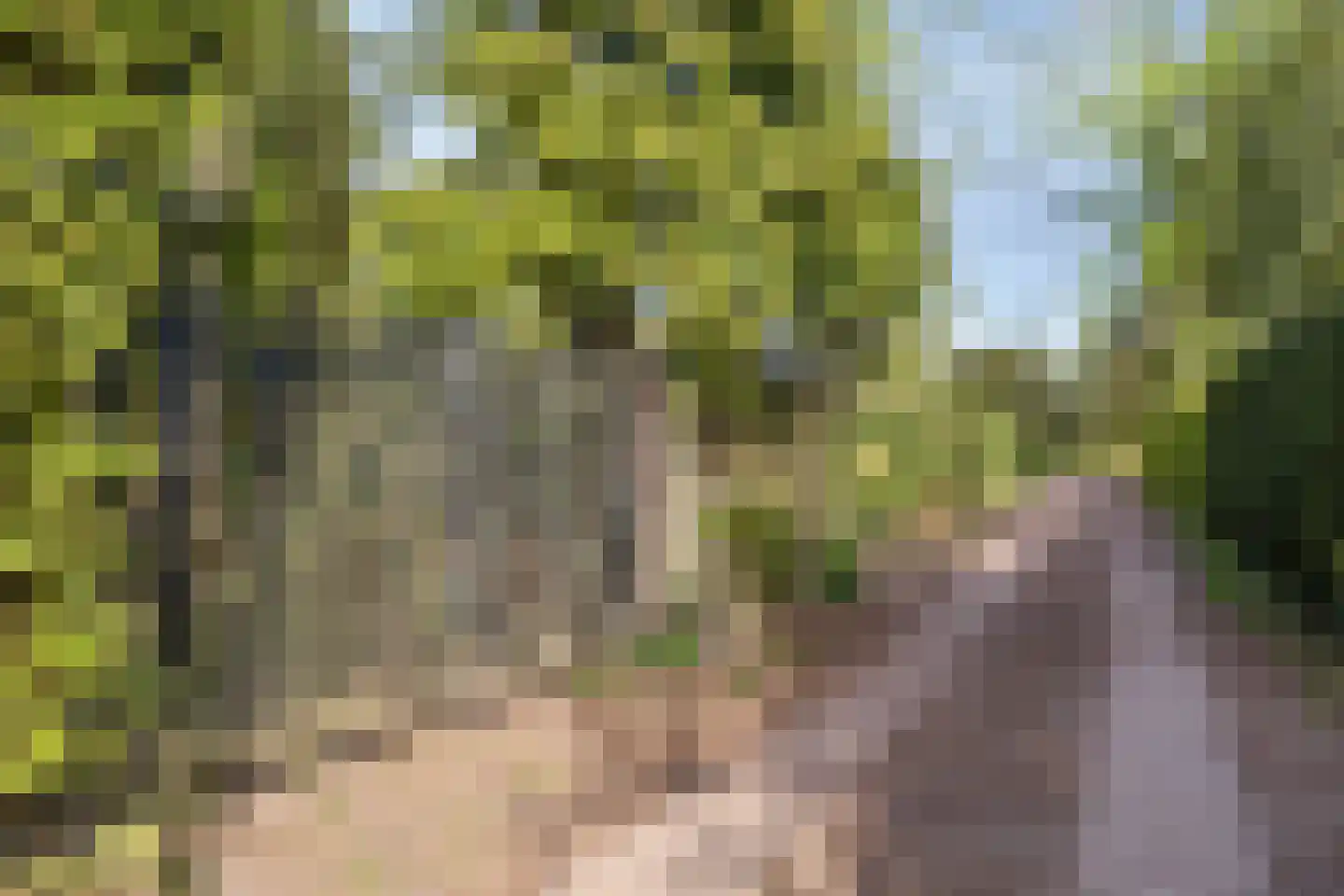 Eexterkoele 34 Eext thumbnail 5