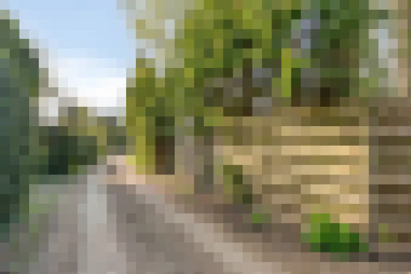 Eexterkoele 34 Eext thumbnail 6