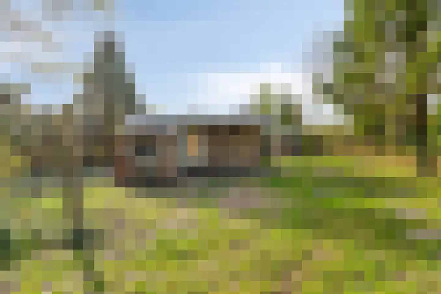 Eexterkoele 34 Eext thumbnail 7