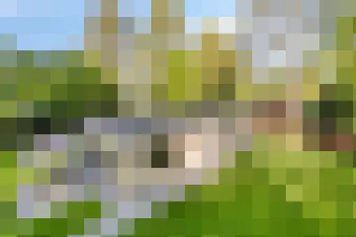 Eexterkoele 4 en Eext