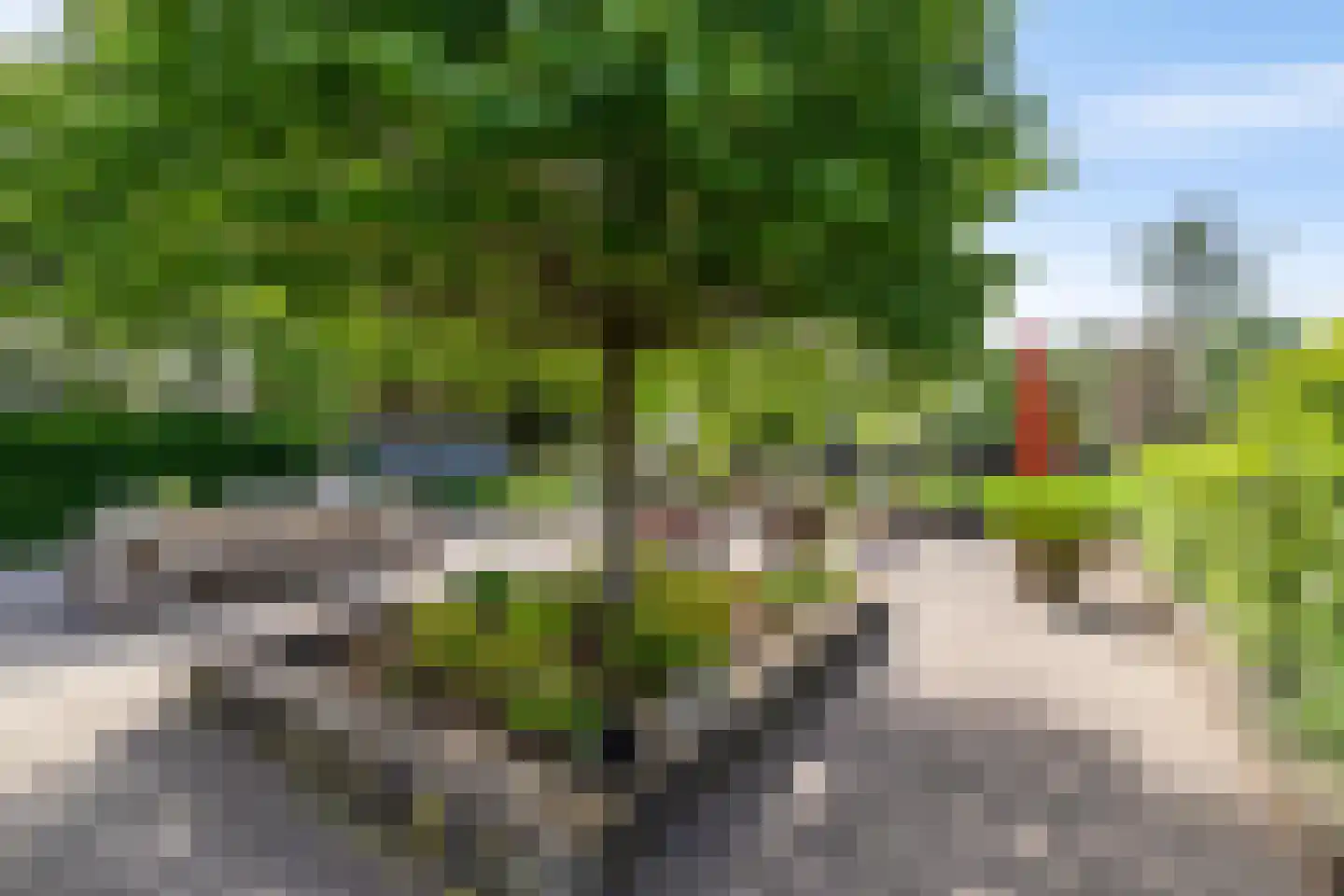Eexterweg 13 Annen thumbnail 18