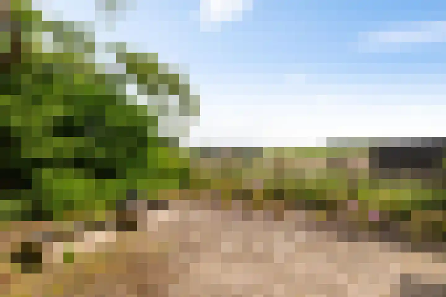 Eexterweg 13 Annen thumbnail 22