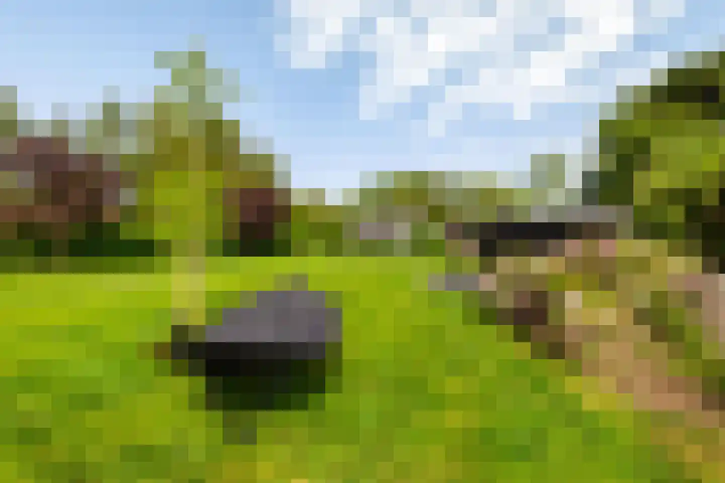 Eexterweg 13 Annen thumbnail 23