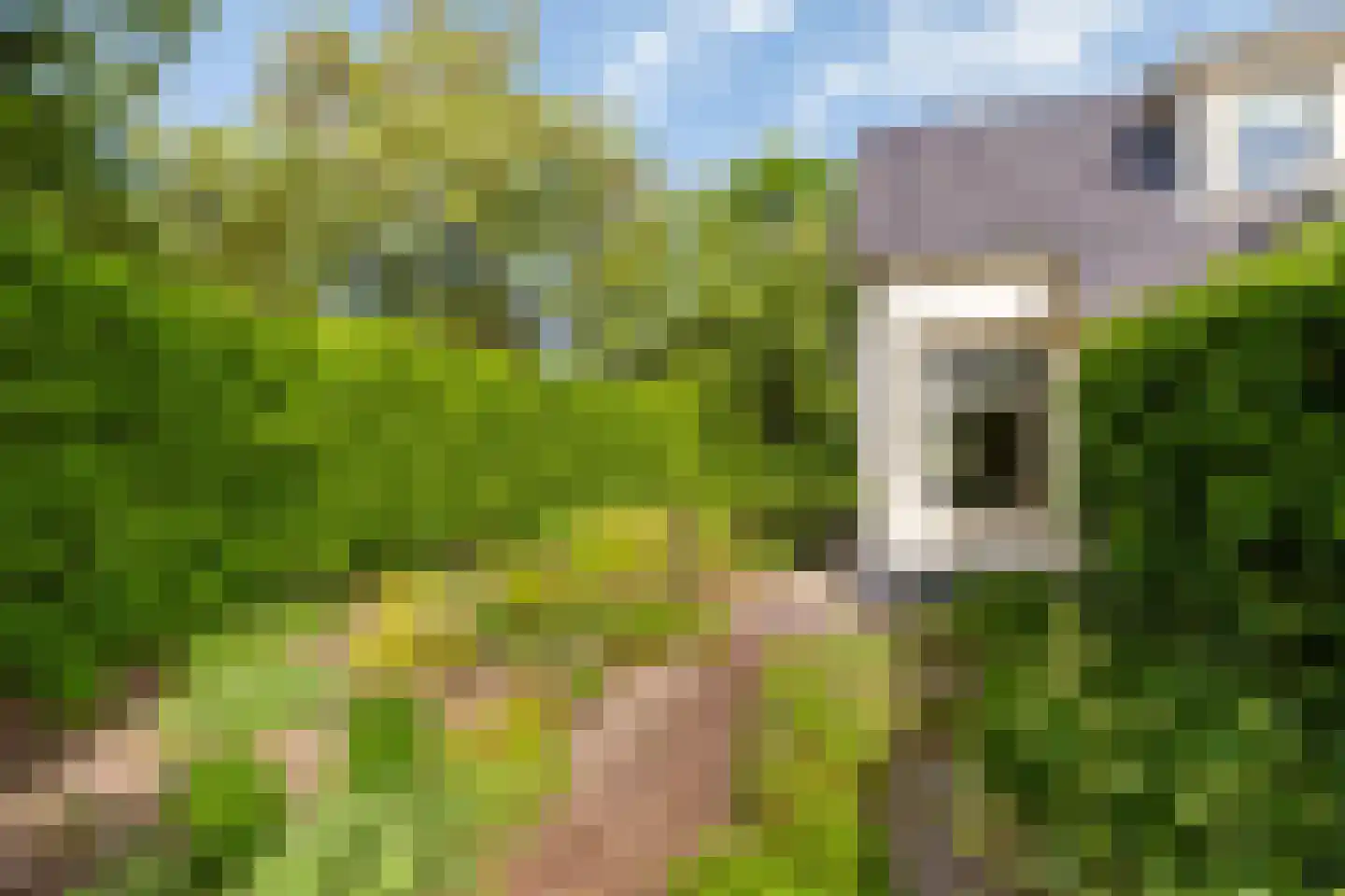 Eexterweg 13 Annen thumbnail 26