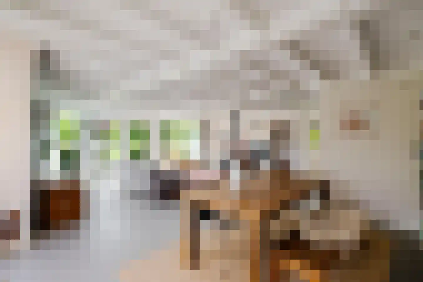 Eexterweg 13 Annen thumbnail 31