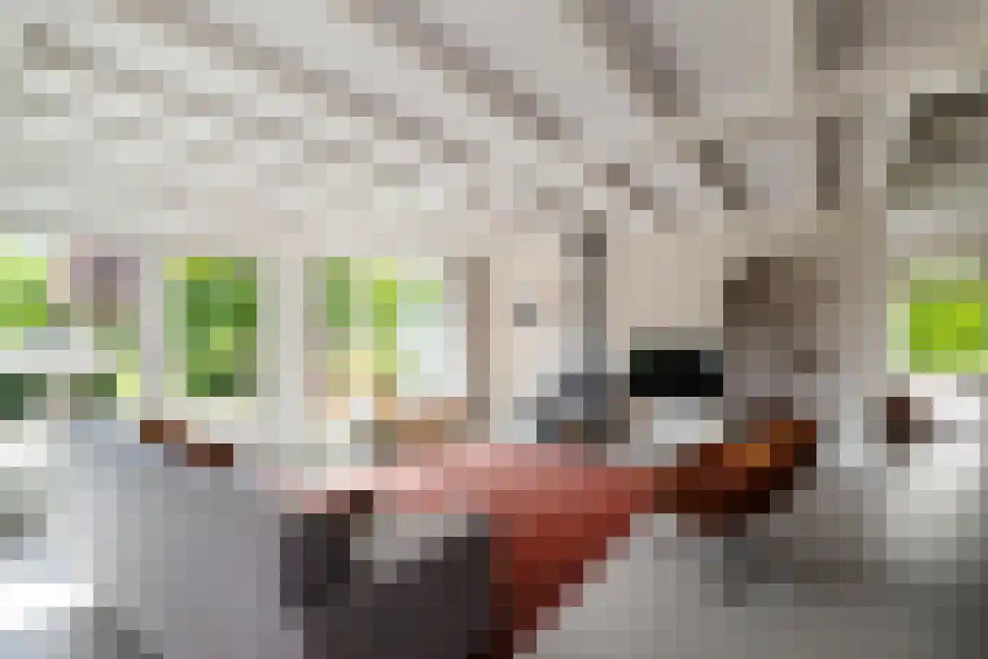 Eexterweg 13 Annen thumbnail 32