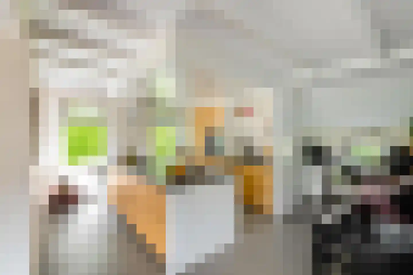 Eexterweg 13 Annen thumbnail 35