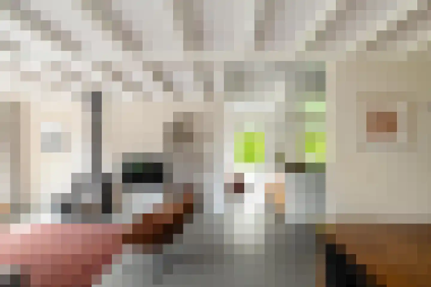 Eexterweg 13 Annen thumbnail 41