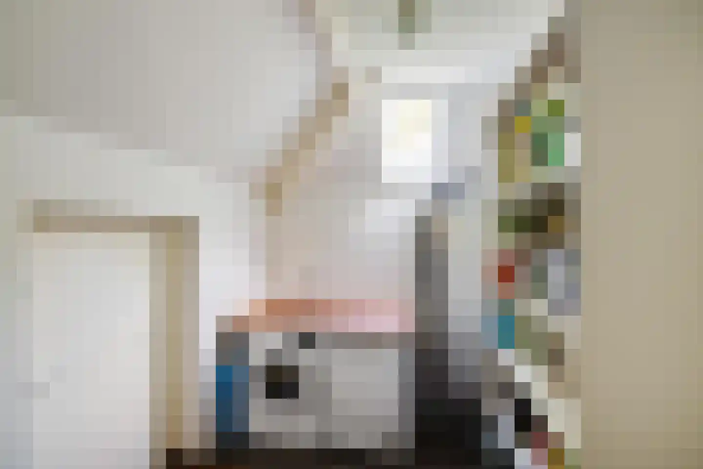 Eexterweg 13 Annen thumbnail 47