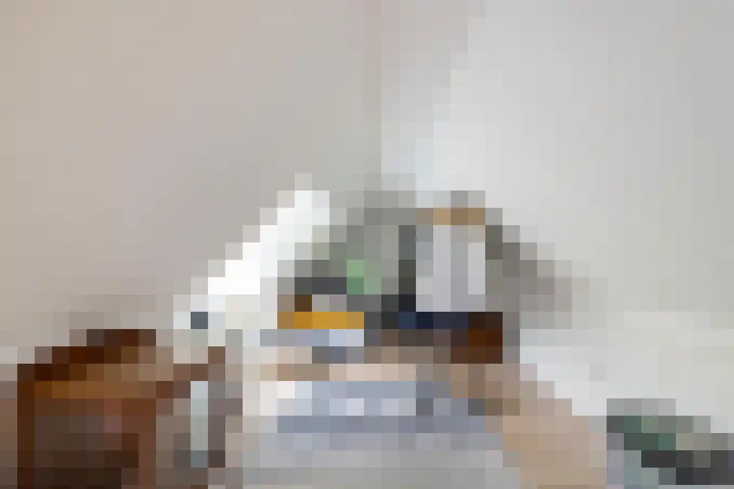 Eexterweg 13 Annen thumbnail 48