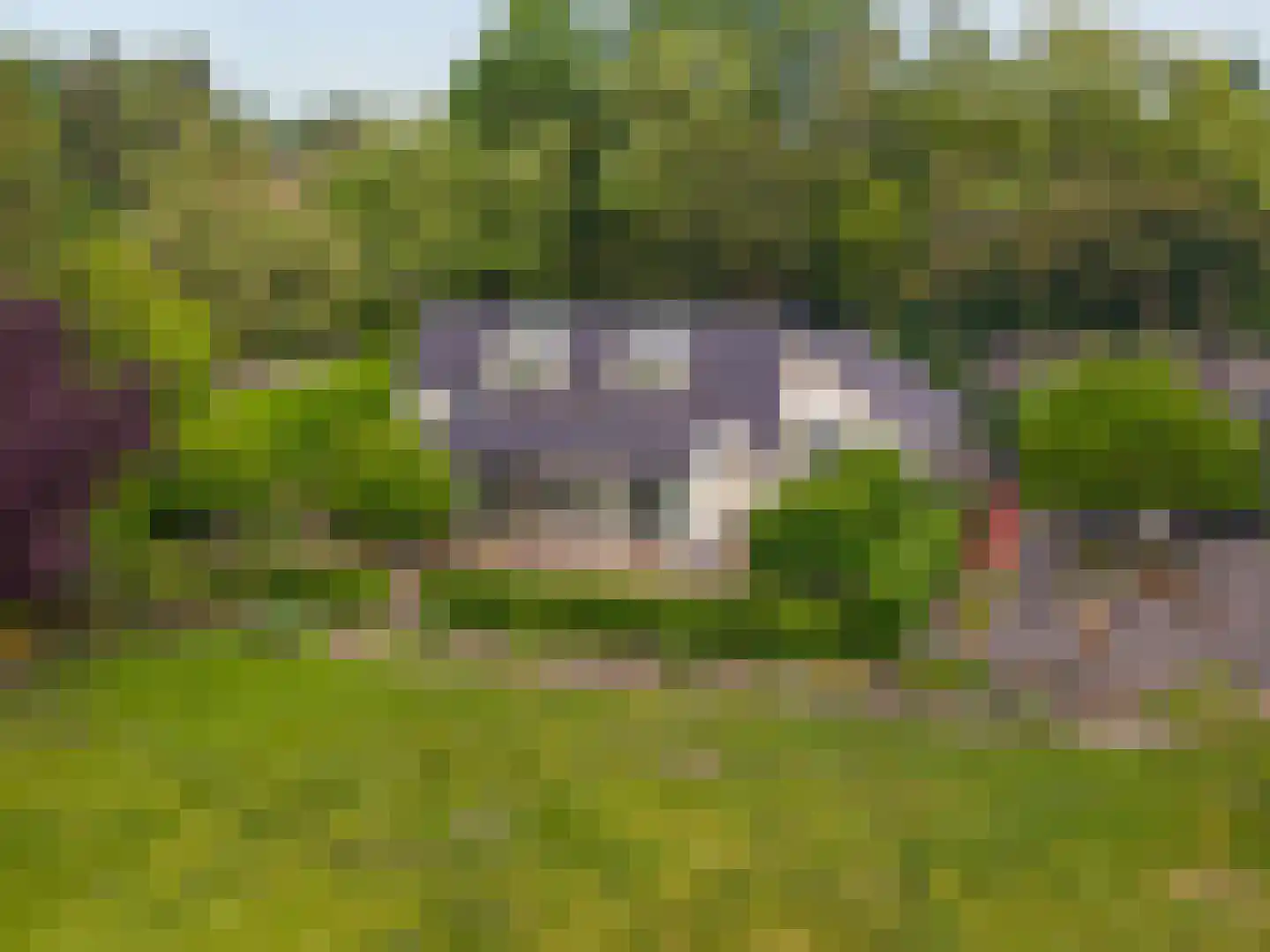 Eexterweg 13 Annen thumbnail 5