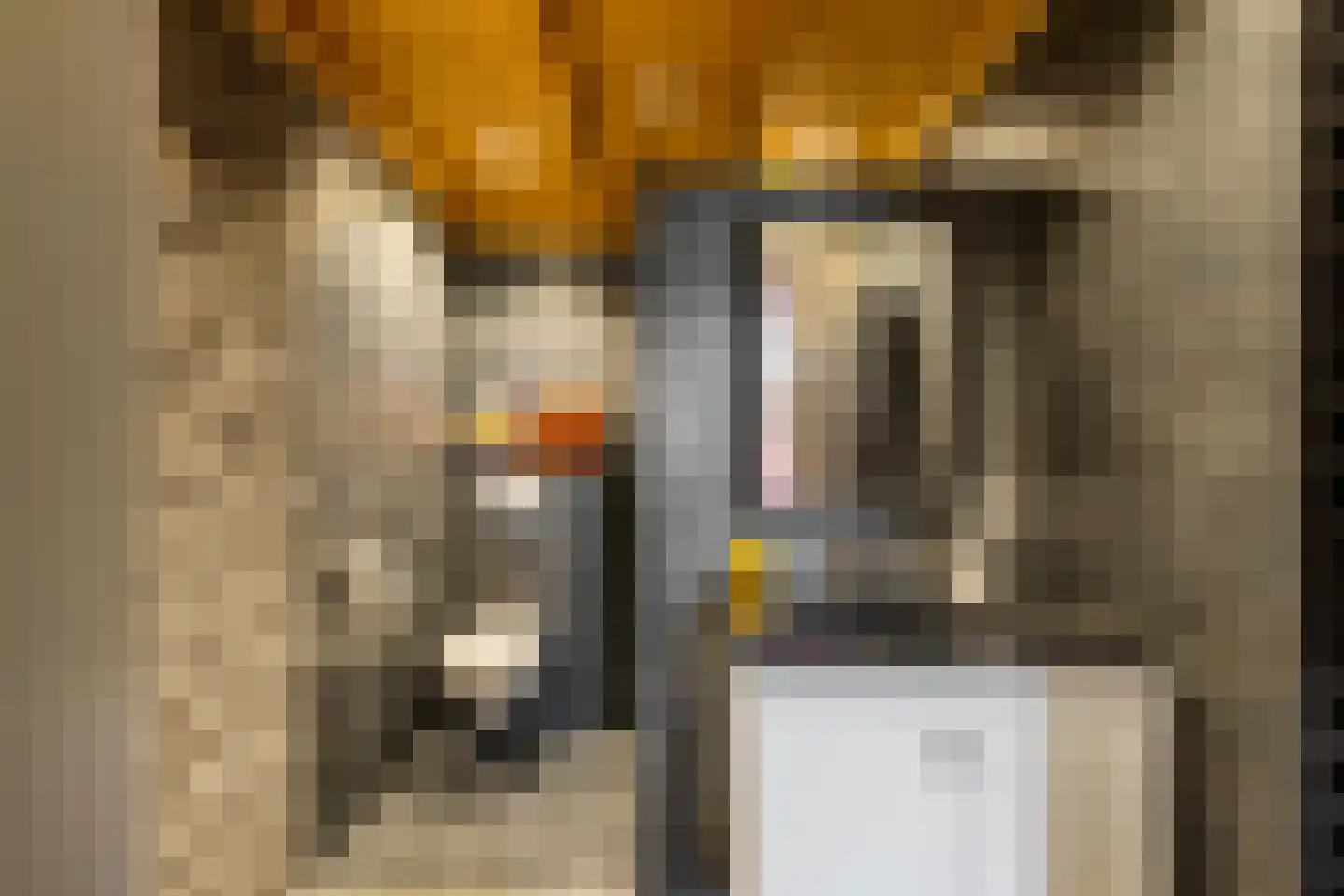 Eexterweg 13 Annen thumbnail 52