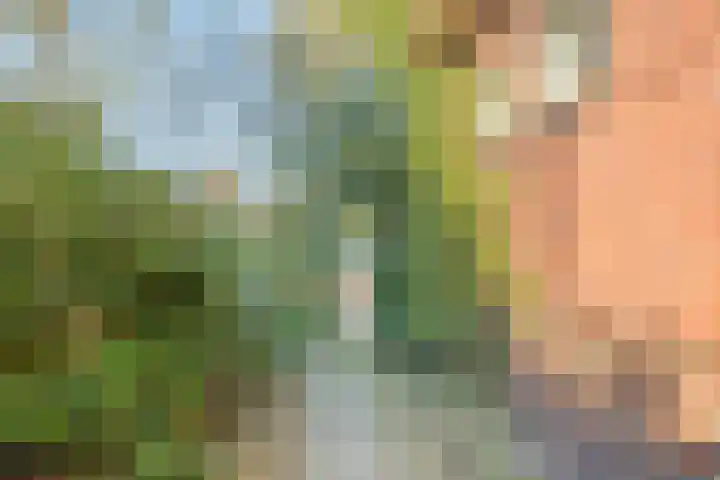 Eexterweg 43 Gieten thumbnail 41