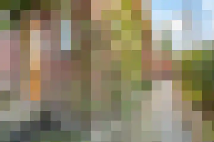 Eexterweg 43 Gieten thumbnail 42