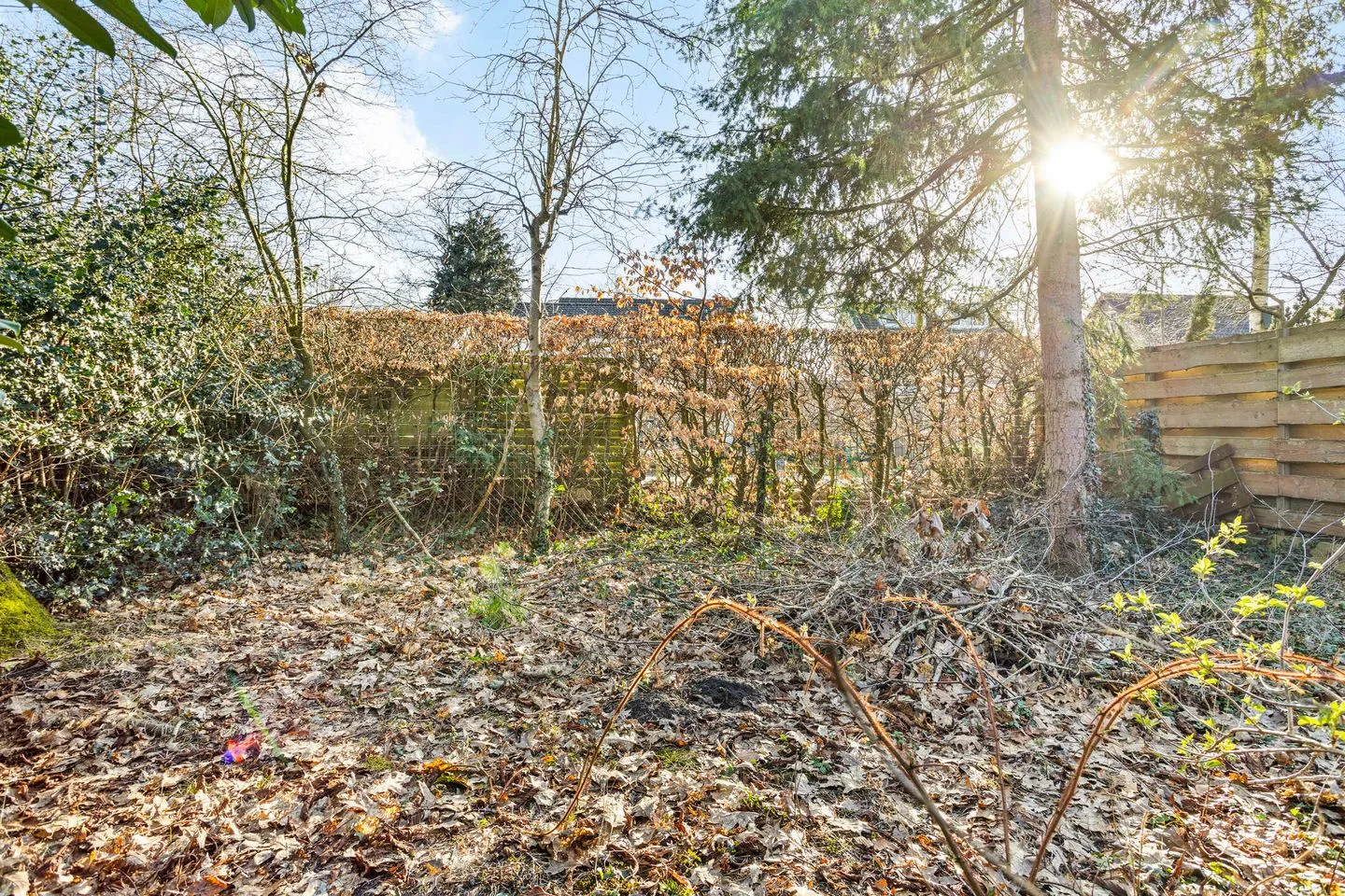 Eexterweg 43 Gieten thumbnail 44