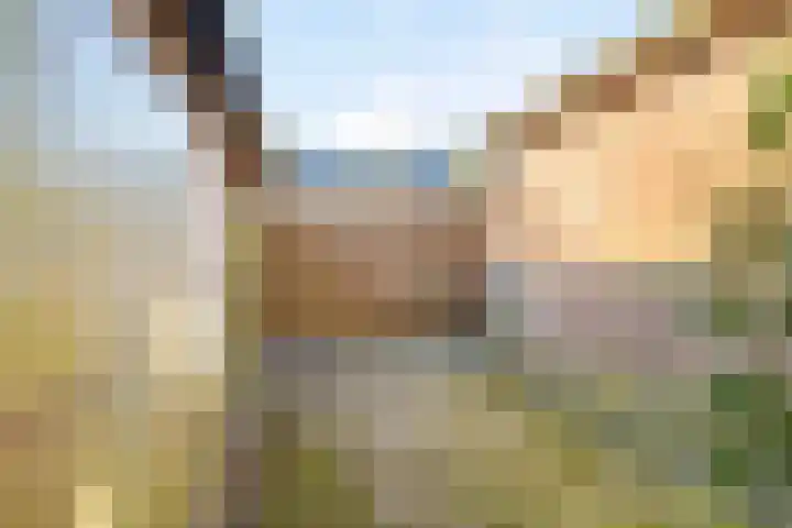 Eexterweg 43 Gieten thumbnail 45